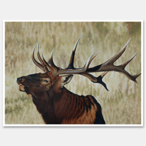 In The Rut- Fine Art Prints